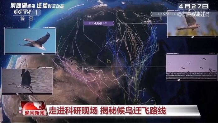 97622��������Ʒ��,����Ұ������׷��,��������׷����,����׷����