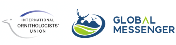 97622��������Ʒ��,����Ұ������׷��,��������׷����,����׷����