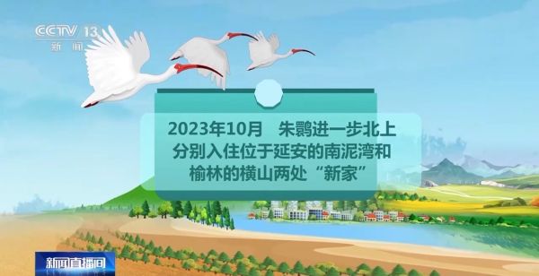 97622��������Ʒ��,����Ұ������׷��,��������׷����,����׷����