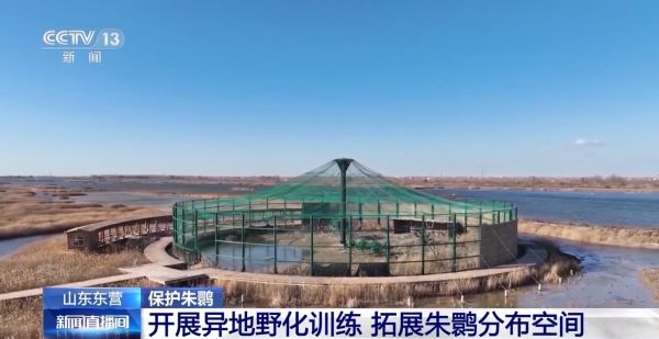 97622��������Ʒ��,����Ұ������׷��,��������׷����,����׷����