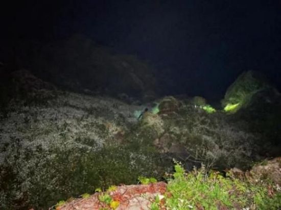 97622��������Ʒ��,����Ұ������׷��,��������׷����,����׷����