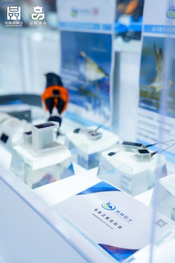 97622��������Ʒ��,����Ұ������׷��,��������׷����,����׷����