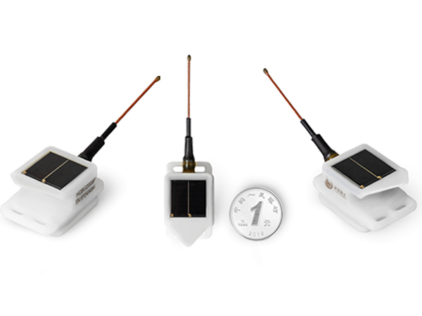 97622��������Ʒ��,����Ұ������׷��,��������׷����,����׷����