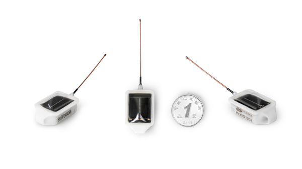 97622��������Ʒ��,����Ұ������׷��,��������׷����,����׷����