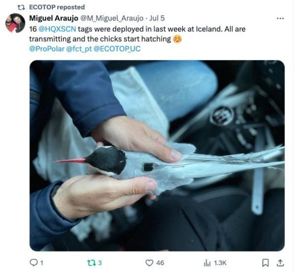 97622��������Ʒ��,����Ұ������׷��,��������׷����,����׷����