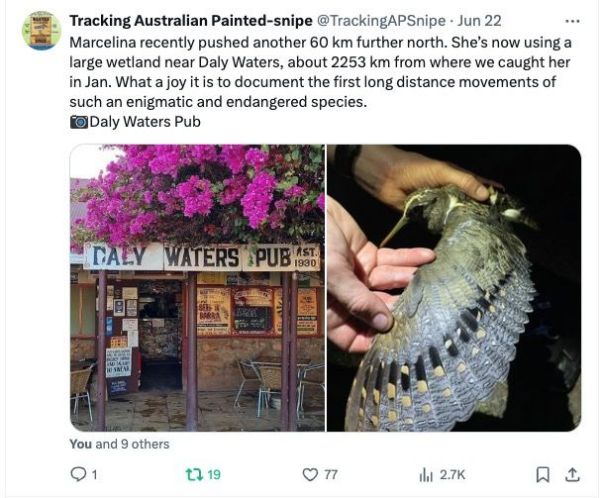 97622��������Ʒ��,����Ұ������׷��,��������׷����,����׷����