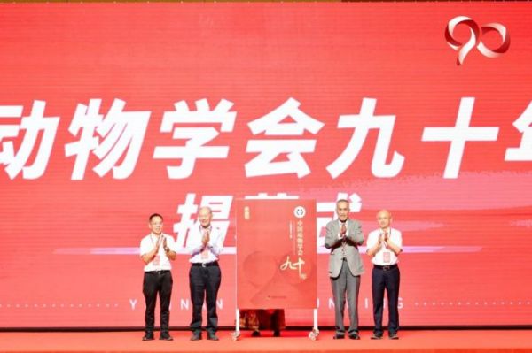 97622��������Ʒ��,����Ұ������׷��,��������׷����,����׷����