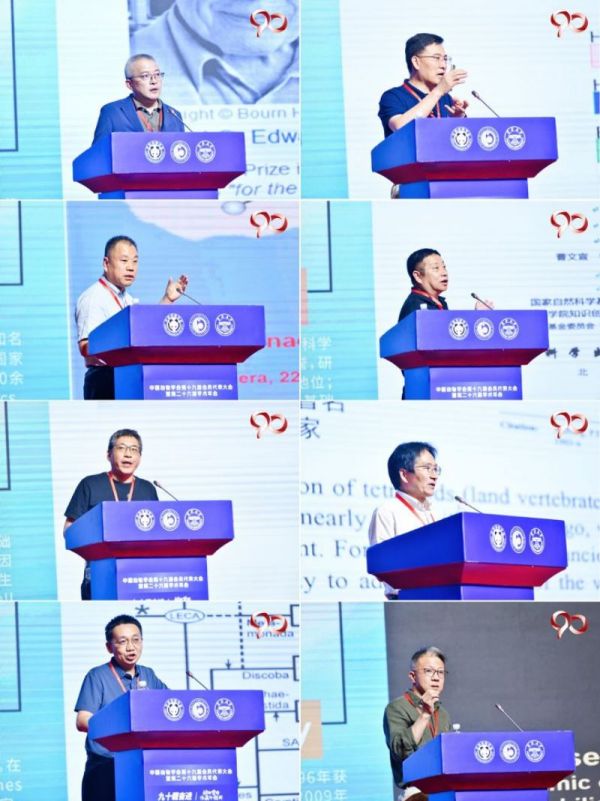 97622��������Ʒ��,����Ұ������׷��,��������׷����,����׷����